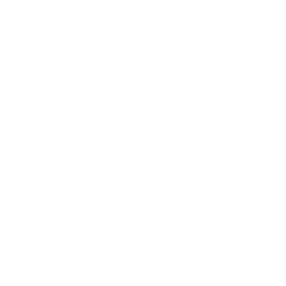 LOGIE-ELPHINSTONE-COMMUNITY-ACTION-LOGO-WHITE-TRANS